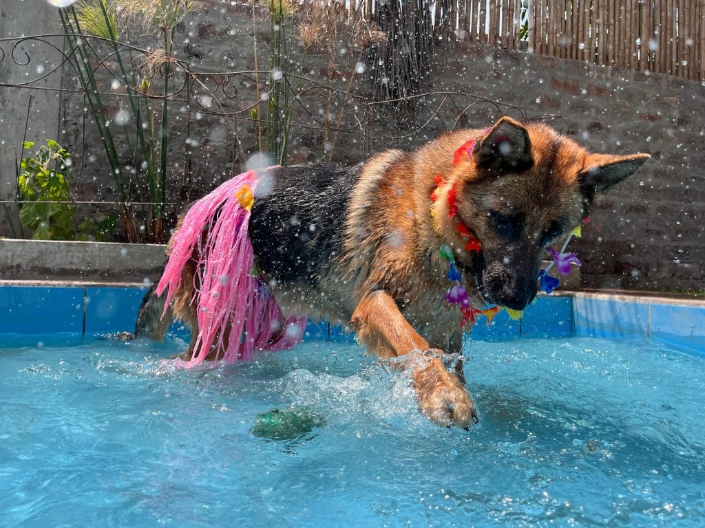 WhatsApp Image 2024-03-04 at 10.48.01 AM (6)